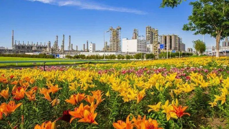 橡胶助剂与塑料助剂：使用中的关键注意事项